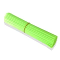 Fluorescent Green