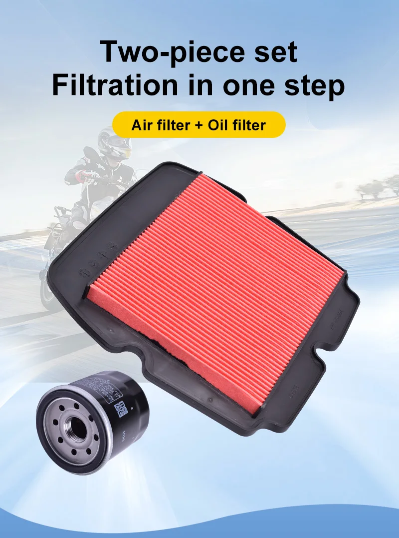 Filtro ASDL para Honda Gold Wing