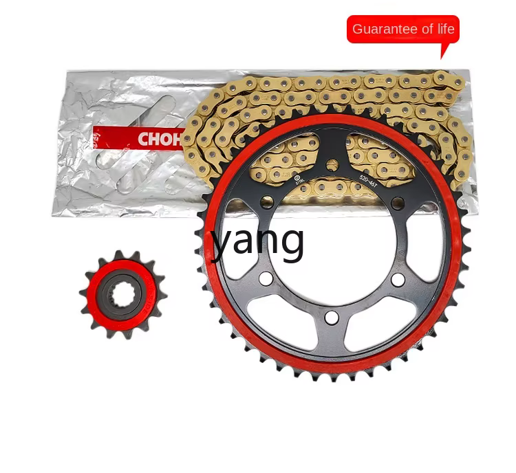 CX Kit de cadena sellada y piñón silencioso para moto - imagen 4