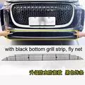 black strip 1