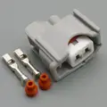 1set female