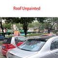 Roof Unpainted