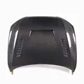 Carbon Fiber