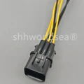 1pcs male