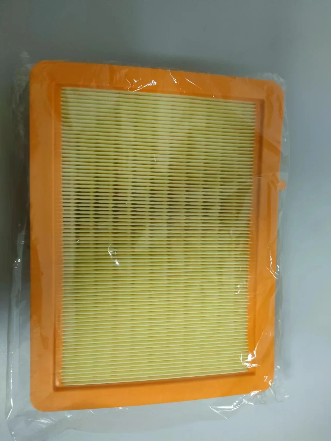 23279657 Filtro de aire Chevrolet Trailblazer y Equinox - imagen 4