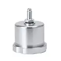 Plata