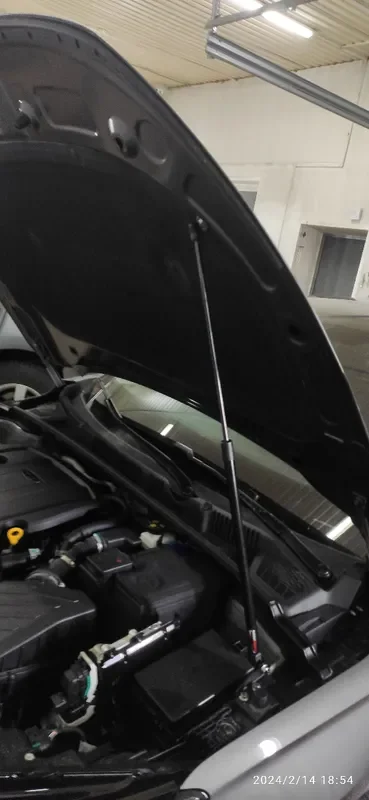 Puntales de gas capó Geely Emgrand IV SS11 2021-2024