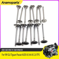 Válvulas de admisión y escape de 6 mm para VW y Audi 2.0 TFSI