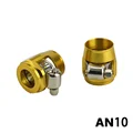 AN10 gold