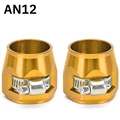 AN12 gold