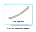 Roof  Unpainted
