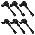 6pcs