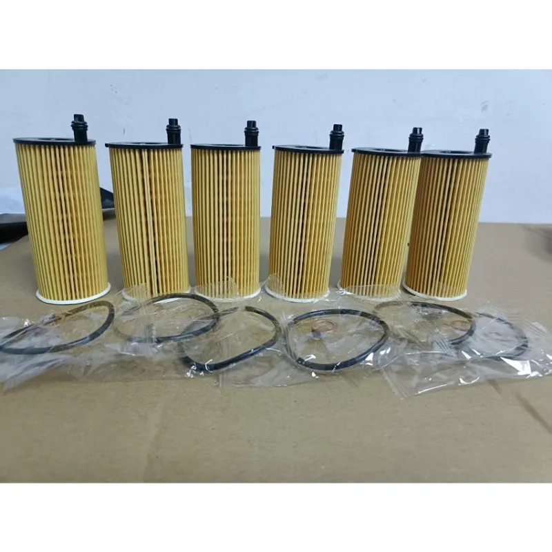 Kit filtro aceite BMW X3 X4 X5 X6 G01 Xdrive 20D 20I 25I 28I