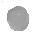 A Gray