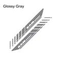 Glossy Gray