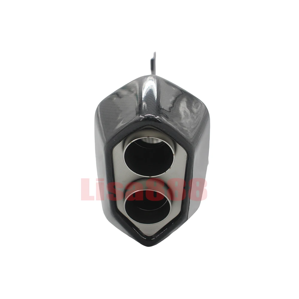 Escape fibra carbono 60mm silenciador doble-agujero BMW R1300GS 2024-2025 - imagen 5