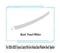 Roof Pearl White