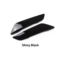 Shiny black