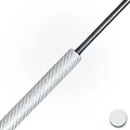 Silver Cabron Fiber