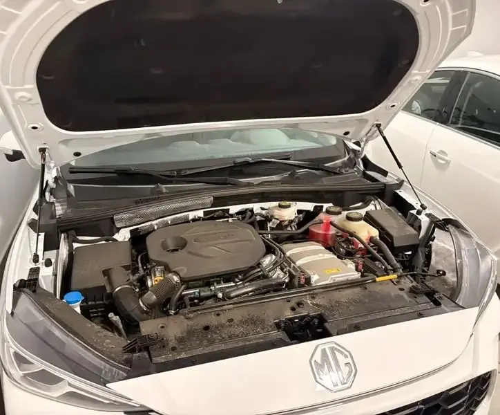 Amortiguadores de gas para capó delantero MG ZS 2024-2026 - imagen 4