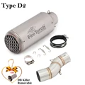 Type D2