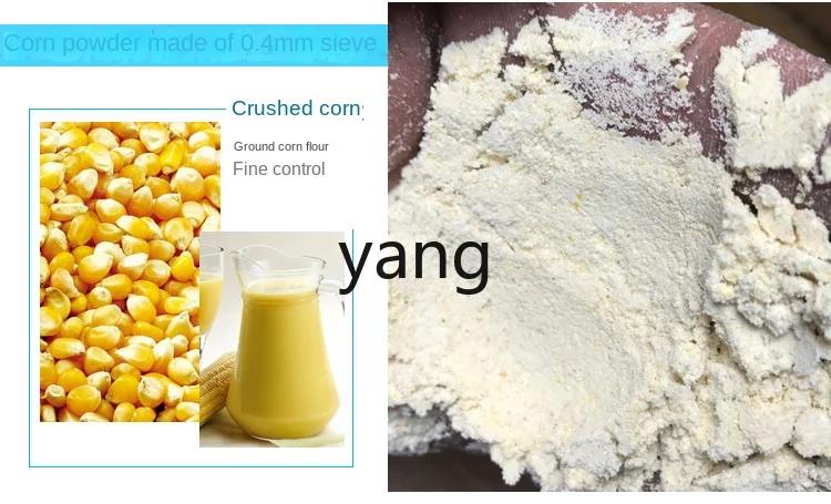 Molinillo multifuncional ultrafino CX para cereales, maíz y hierbas - imagen 3