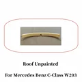 Roof Unpainted