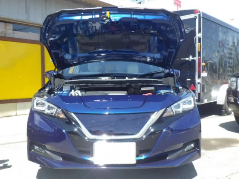Amortiguador de gas para capó Nissan Leaf ZE1 2017