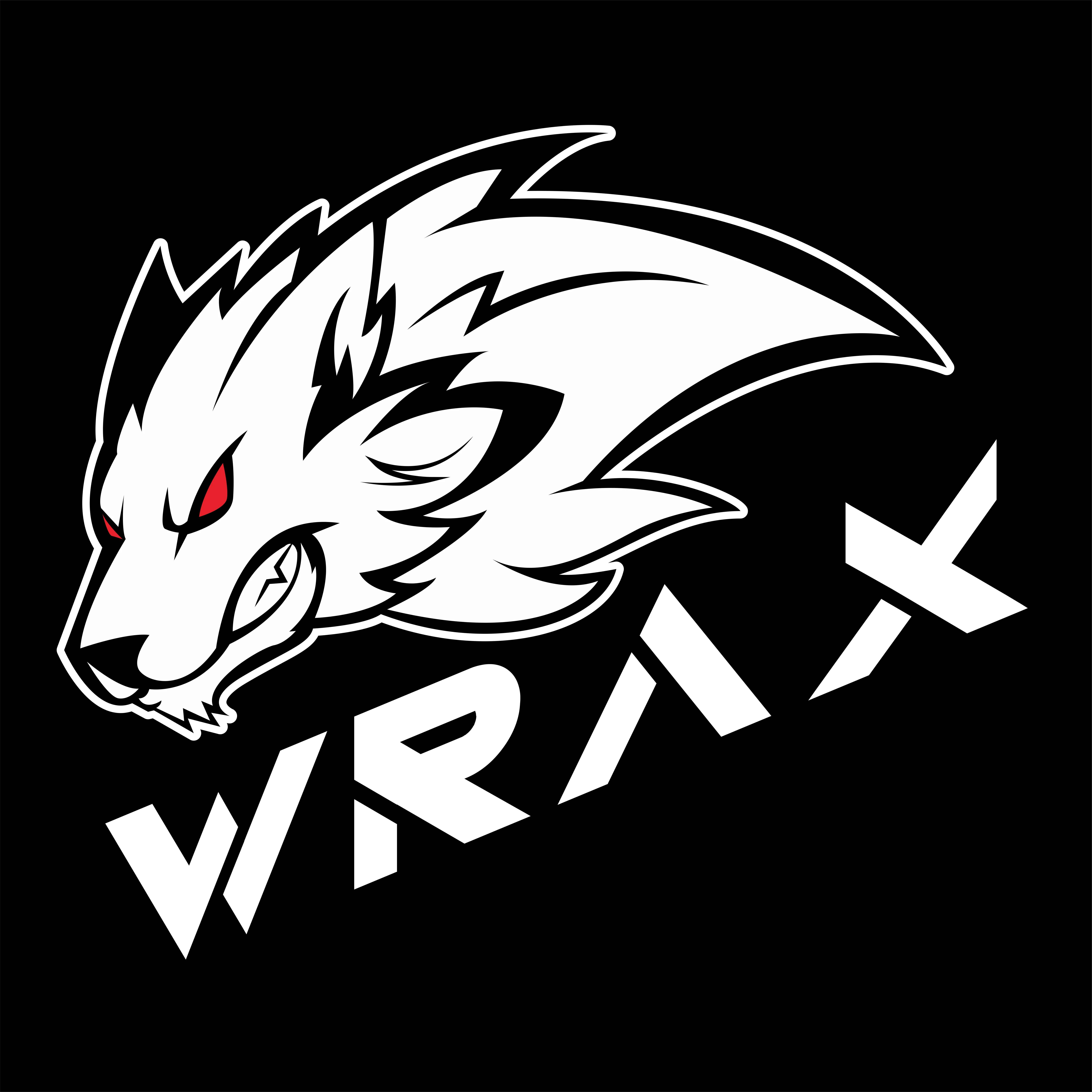 Productos personalizados confirmados para modelos de vehículos