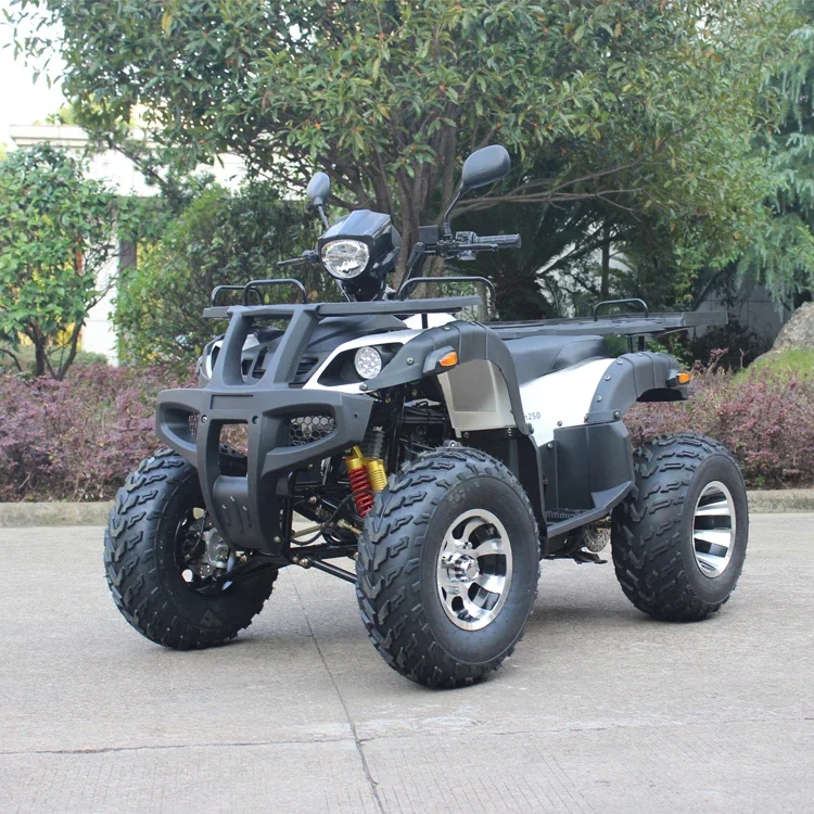 GY6 China ATV arranque eléctrico 4 tiempos Mini ATV Quad Bike 150CC/200CC - imagen 5
