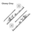 Glossy Gray