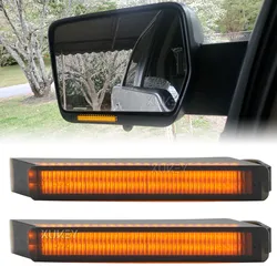 Luz diurna e intermitente para retrovisor Ford F-150 2004-2014