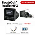 SS-YT8415-MP3-DSP