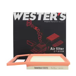 Filtro de aire WESTGUARD para BYD Song Plus/Qin Plus DM-i Hybrid