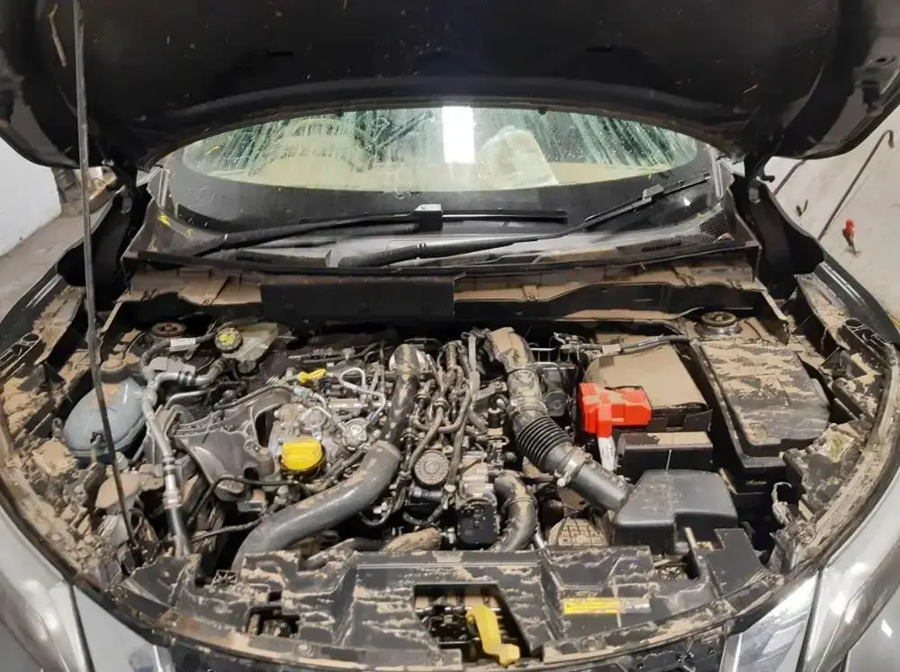 Amortiguadores de capó para Nissan Juke F16 (2019-2024)