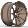 Bronze Color