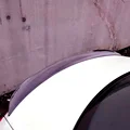 Carbon Surface