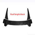 Roof bright black