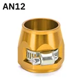 AN12 gold