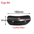 Type D1