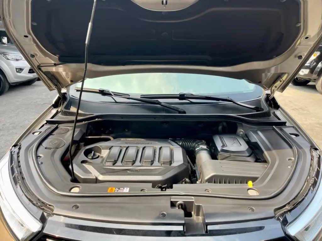 Puntales gas capó Ford Territory 2018-2023 - imagen 2