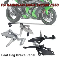 Palanca cambio Kawasaki Ninja 300/250 – reposapiés izquierdo