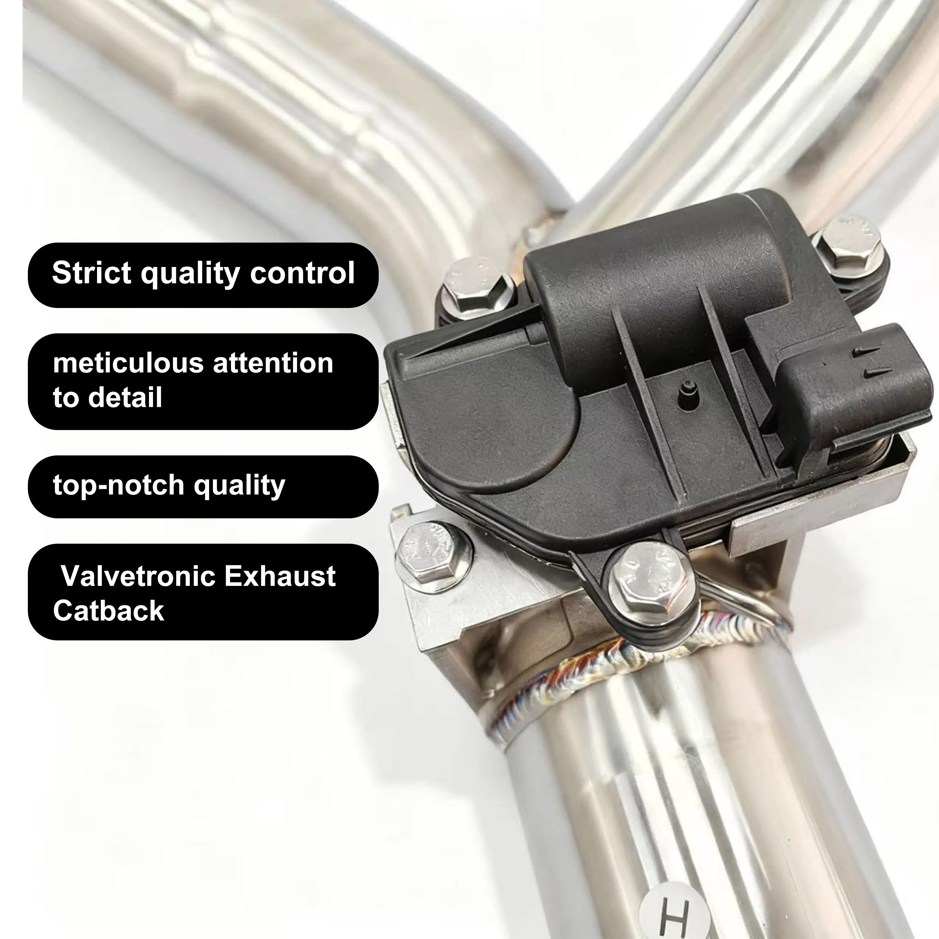 Sistema Valvetronic - Mecanismo control sonido