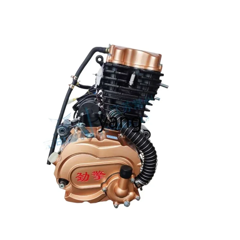 Conjunto motor eléctrico CX Power para triciclo Jinqing Jinzhan - imagen 2