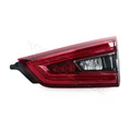 19-21 Right Trunk