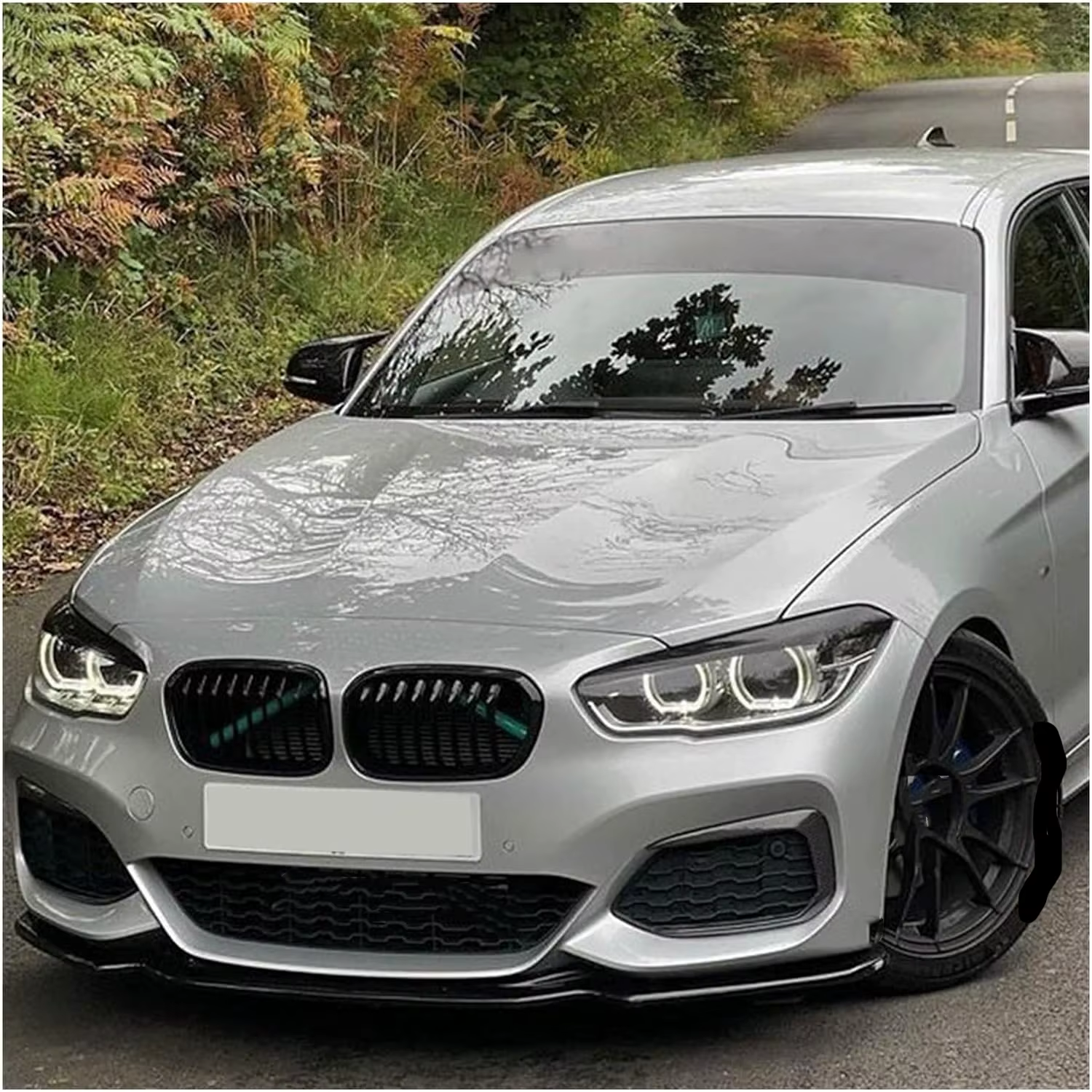 Labio divisor parachoques delantero BMW Serie 1 F20 F21 118i a M140i - imagen 2