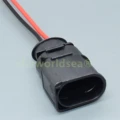 1pcs male