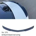 for CT5 style 10
