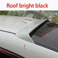 Roof bright black