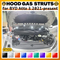 Amortiguadores de gas para capó delantero BYD Atto 3 RHD, 2021-actualidad